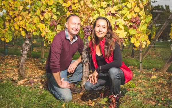 Le Domaine Fritz